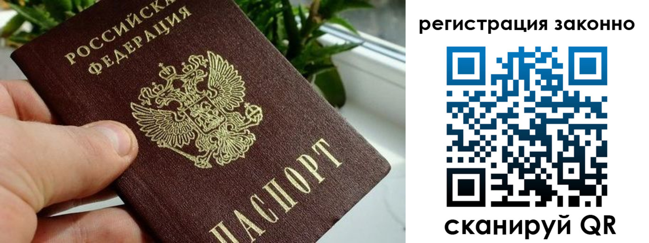 прописка гарантия в Рубцовске